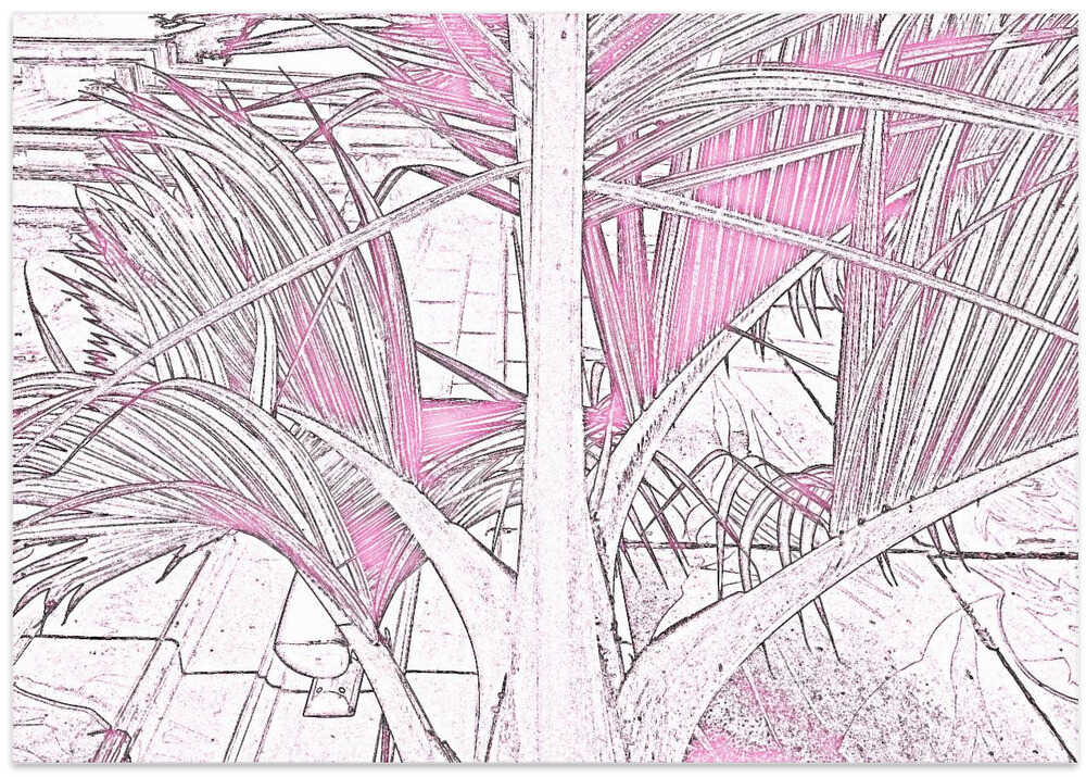 Tropical Pink Breeze