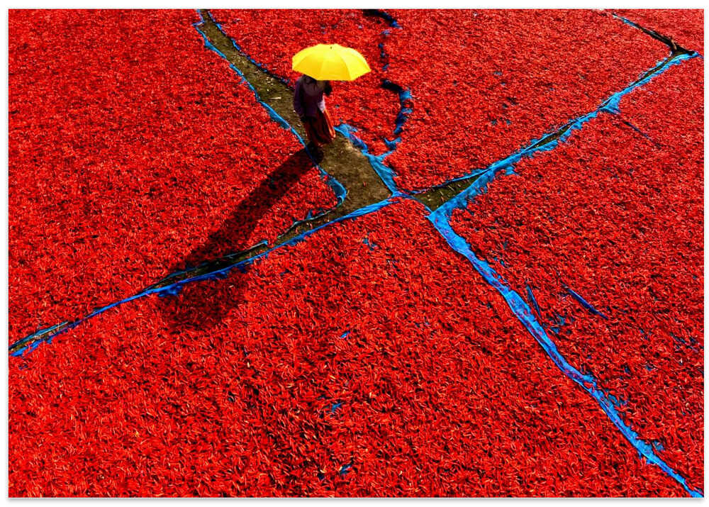 Walking on Red Chilli