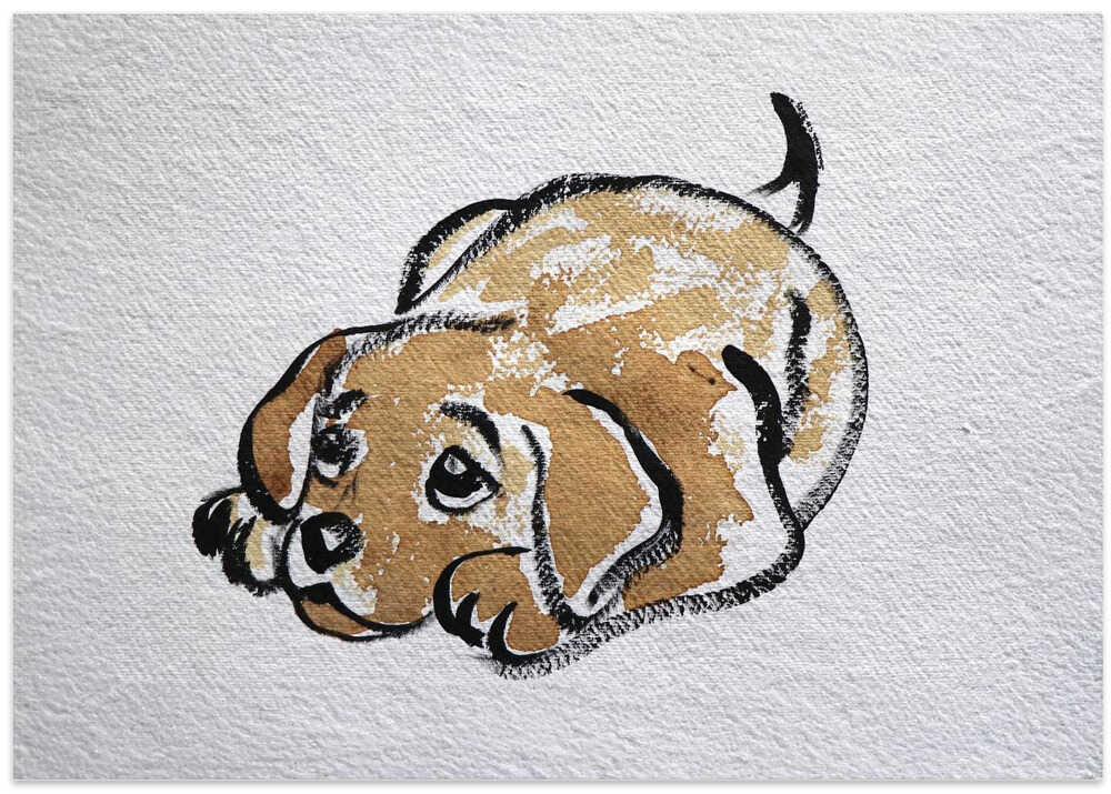 Puppy's Restful Pose