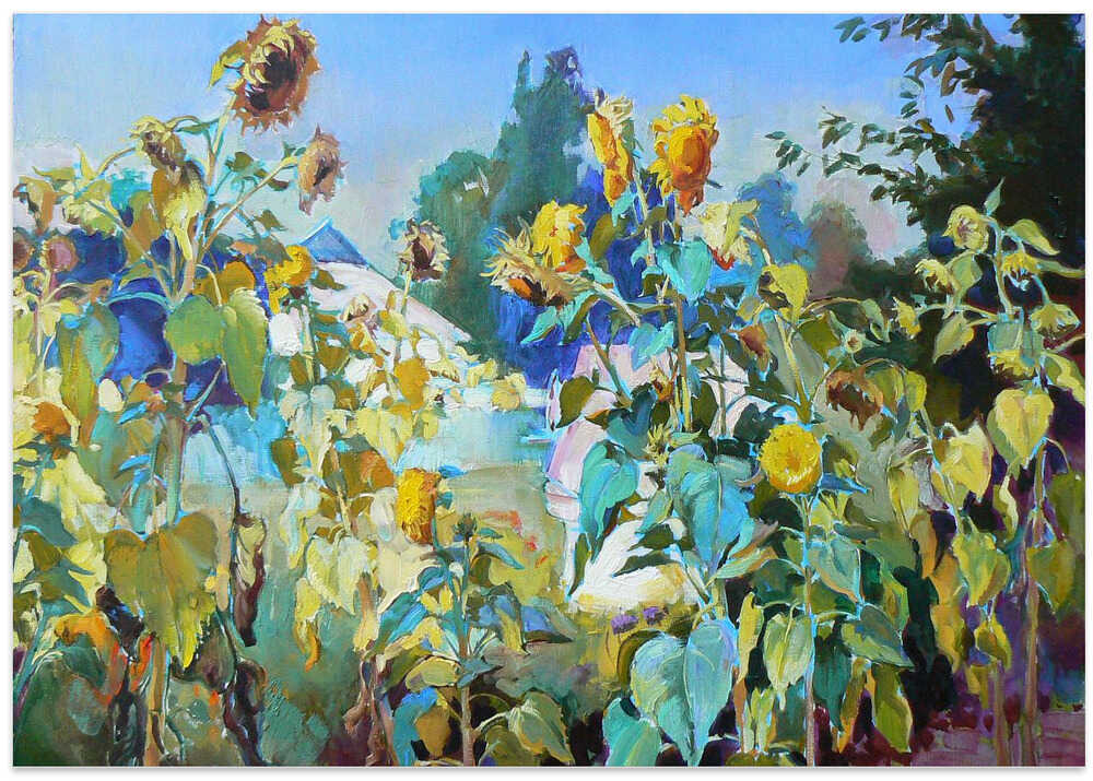 Sunflowers