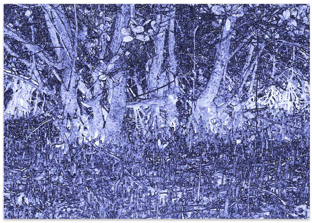 Blue Forest Depths