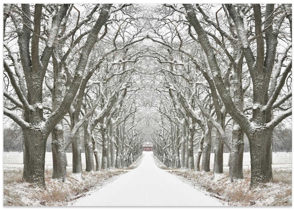 Winter avenue