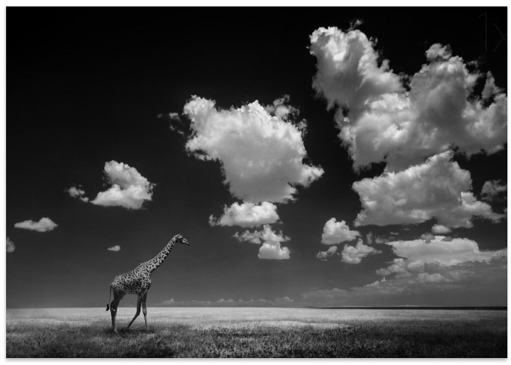 Gone with the Clouds