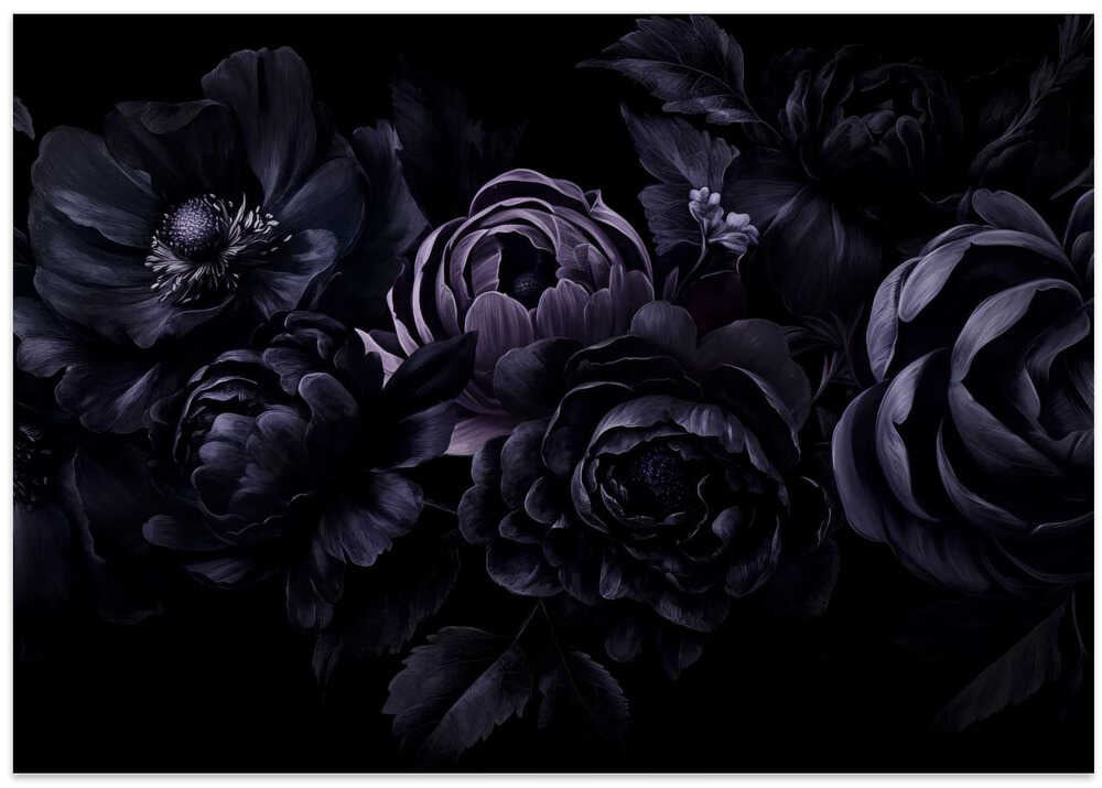 Nocturnal Flower Drama