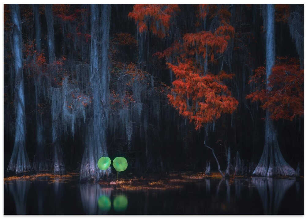 Caddo Lake 10