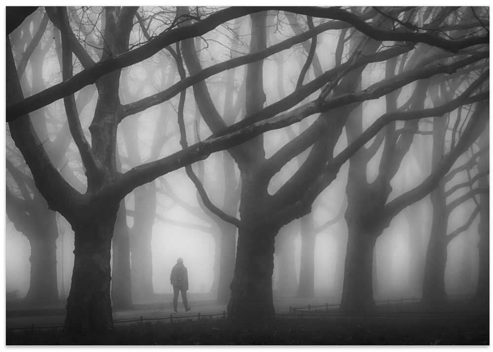 In the mysterious park.