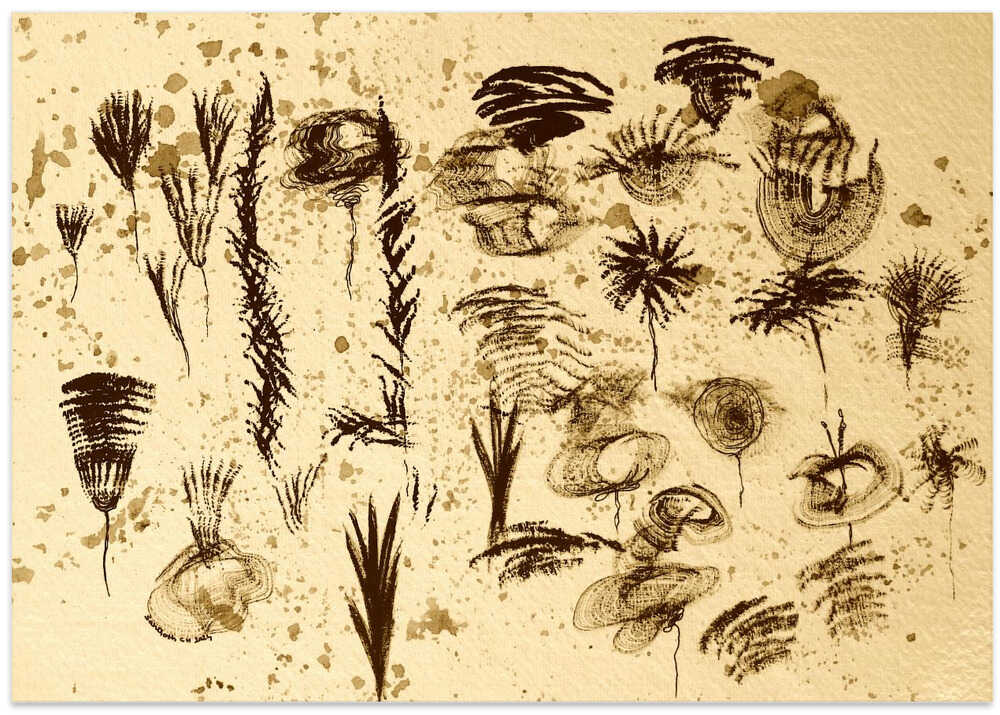 Abstract Nature Forms