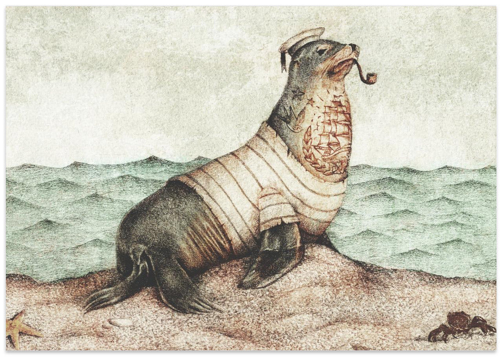 Keep an Eye On the Coast