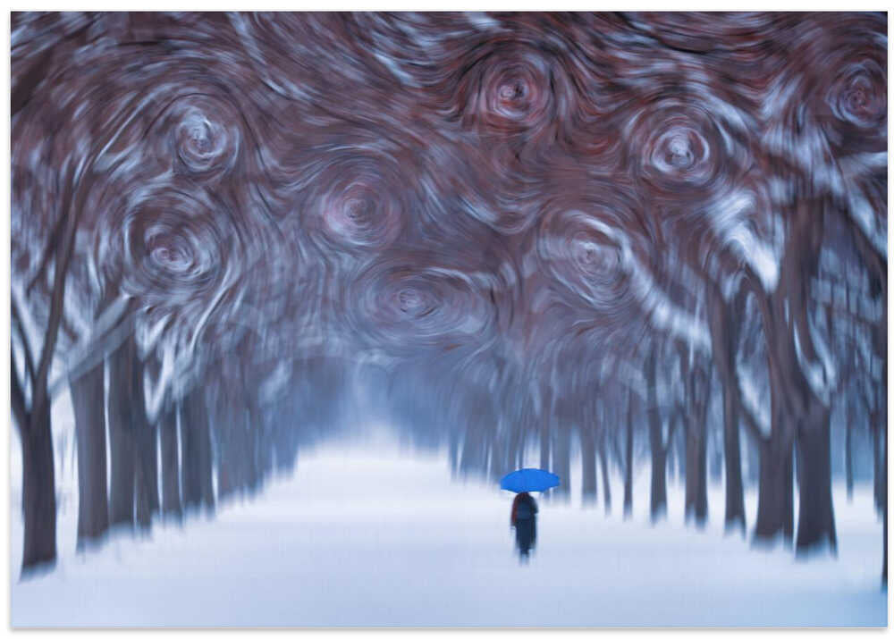 Van Gogh’s Winter: A Walk in Blue