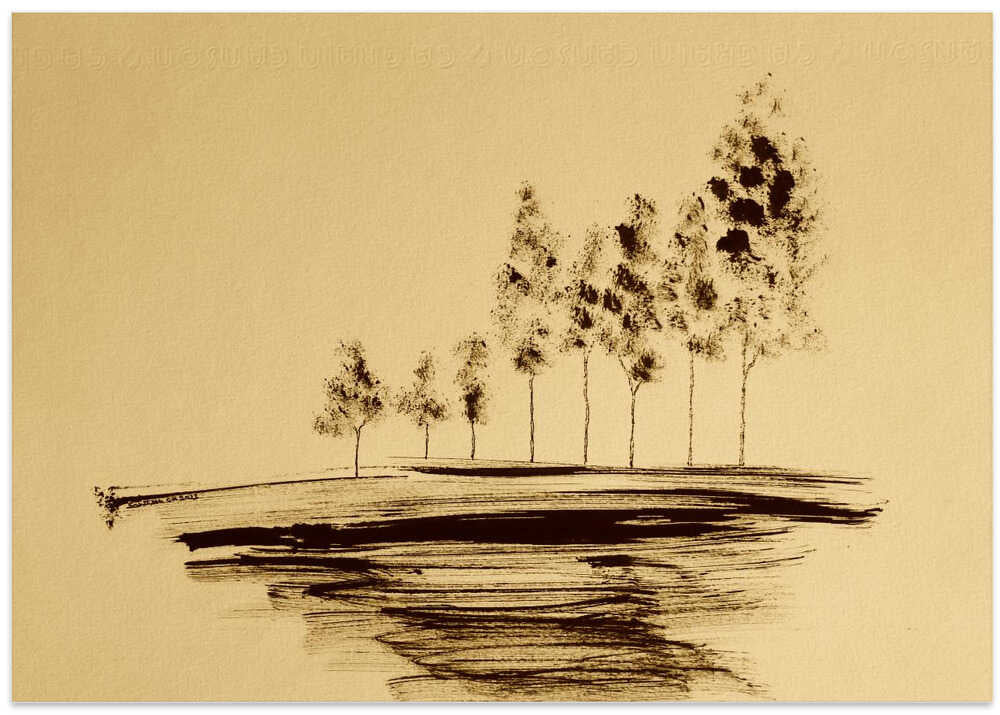 Tree Line Reflection