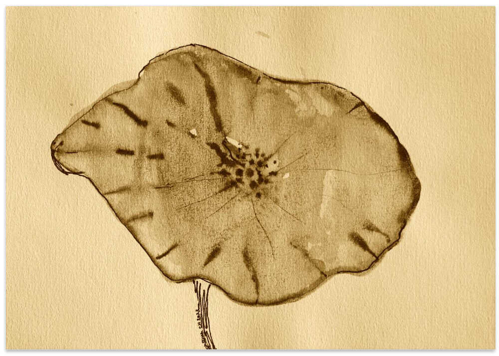 Delicate Sepia Bloom