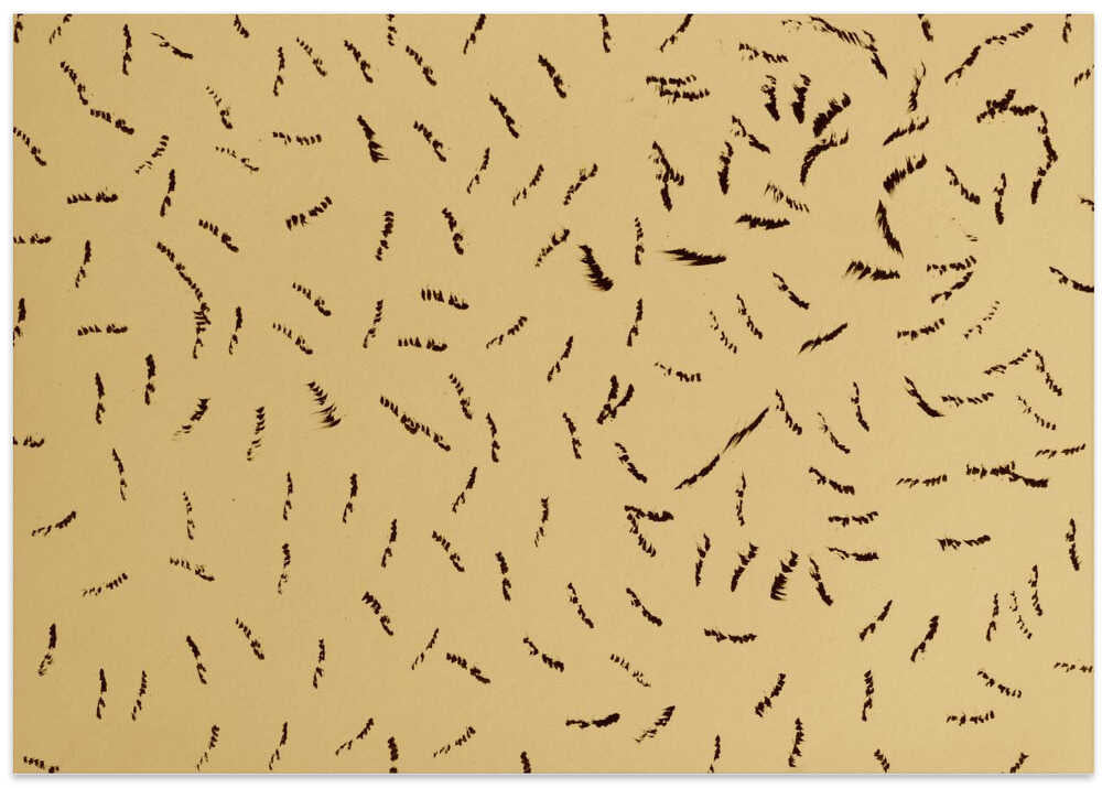 Beige Background With Scattered