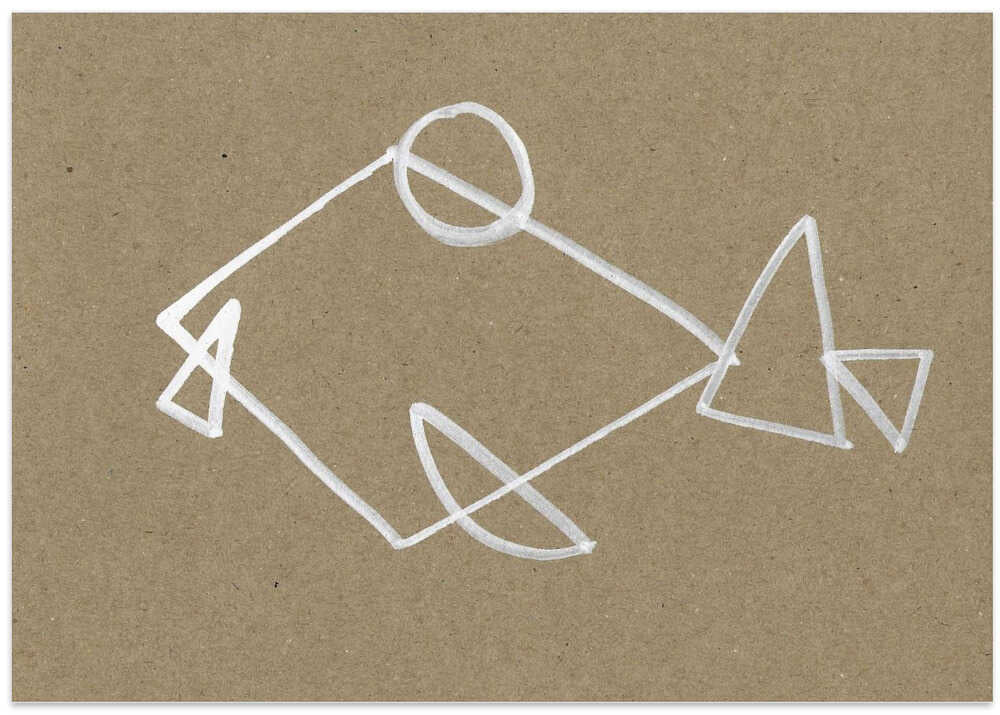 Geometric Fish Design