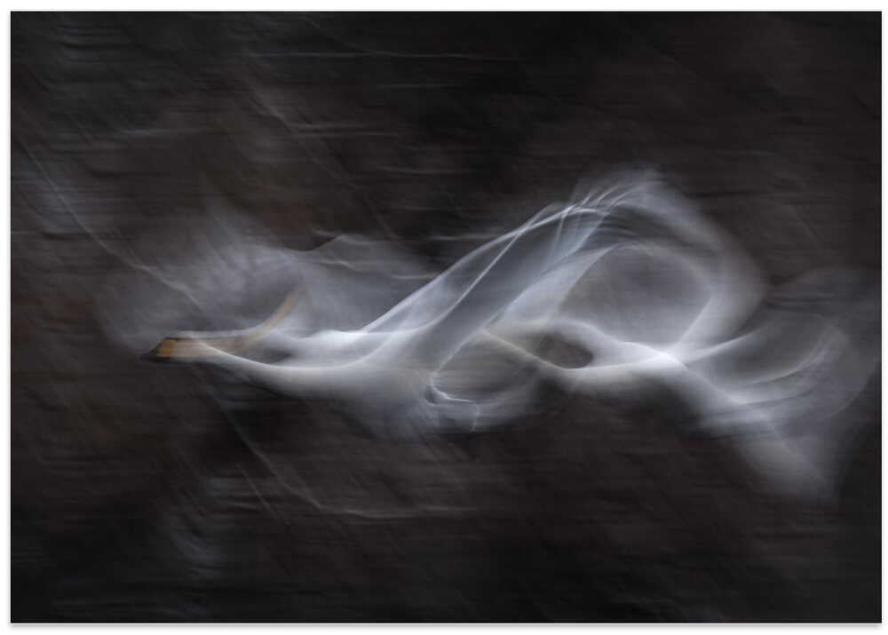 Veils of the soul...