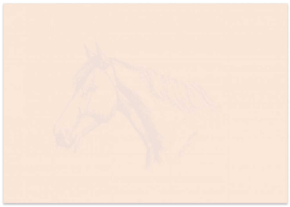 Horse Sketch