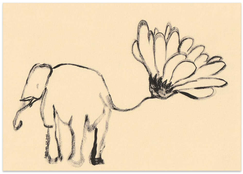Elephant Blossom