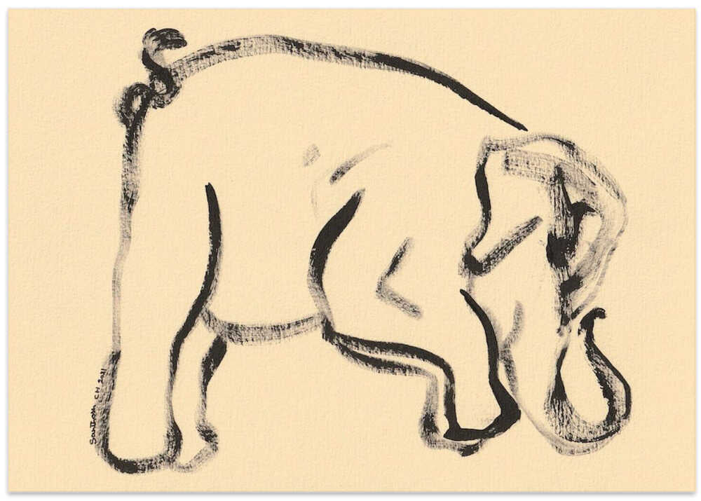 Gentle Elephant Strokes