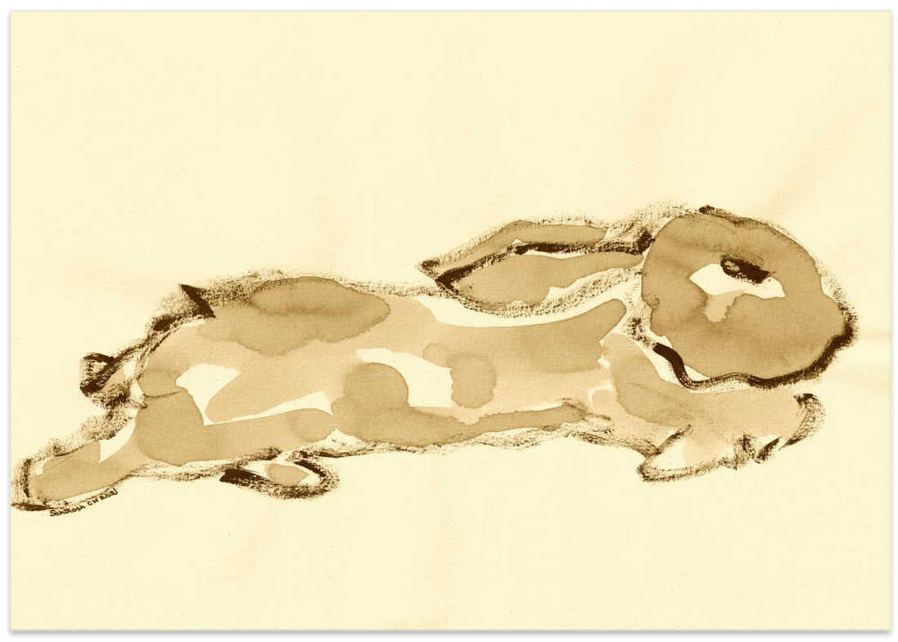 Gentle Rabbit Outline