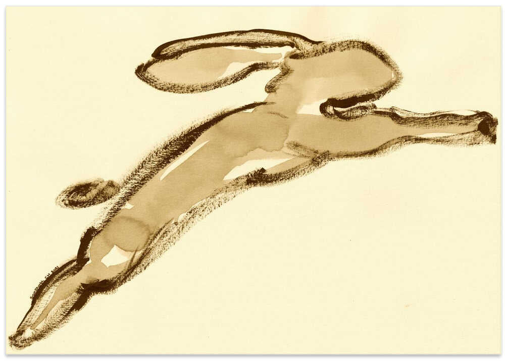 Leaping Rabbit Sketch