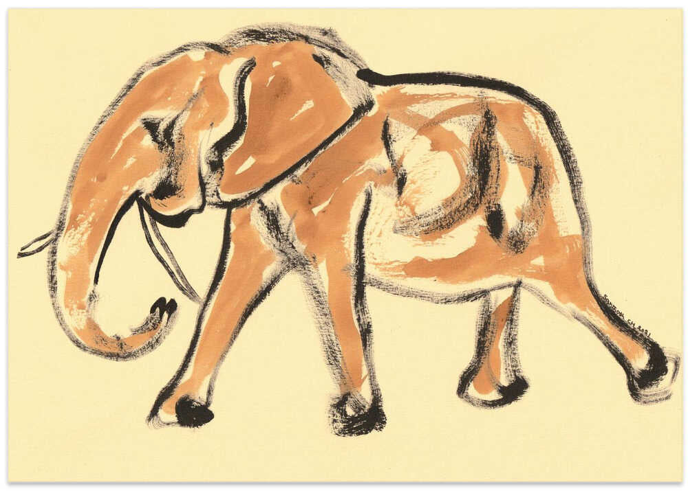 Gentle Elephant Stroll