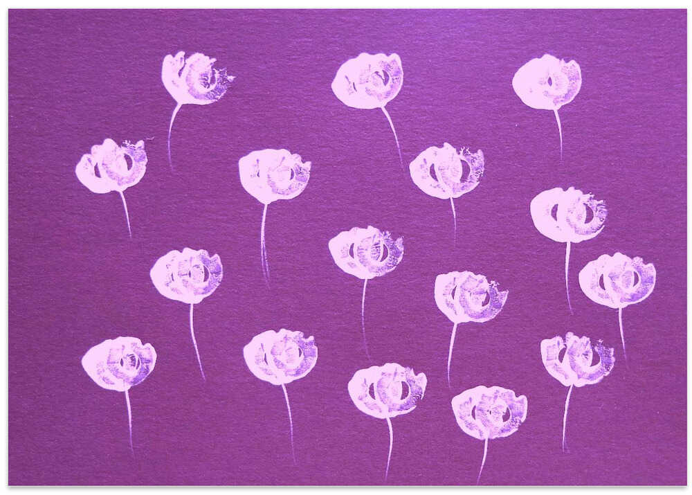 Pink Blossoms Symphony