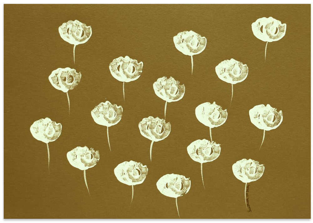 Delicate White Flowers