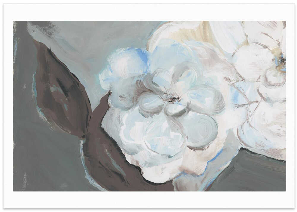 White Petals & Shadows