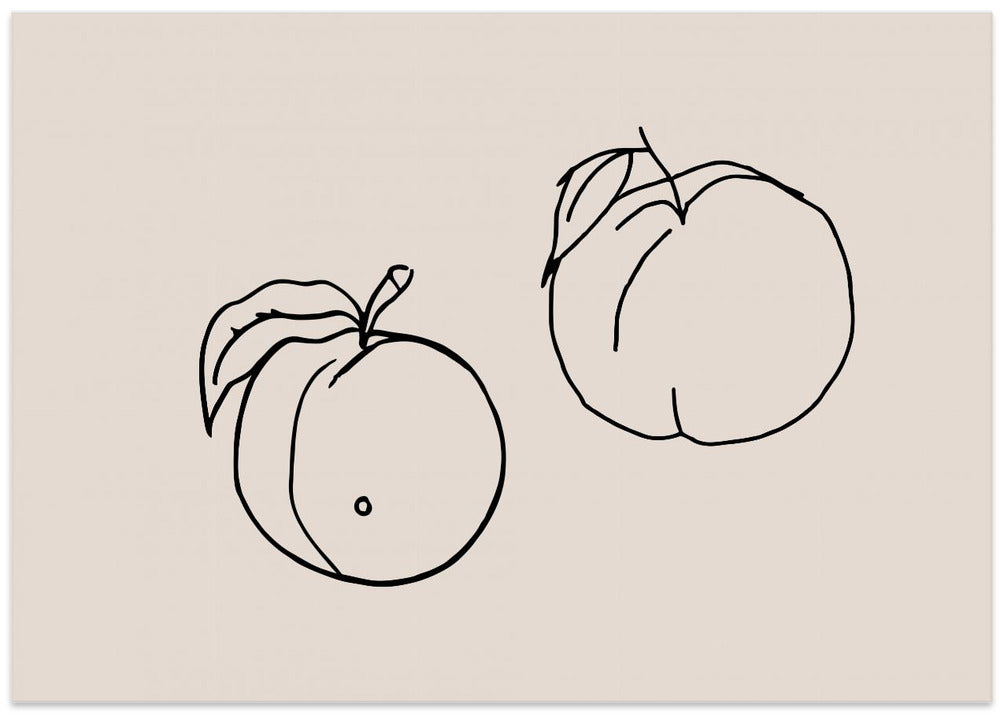 Peachy Outlines