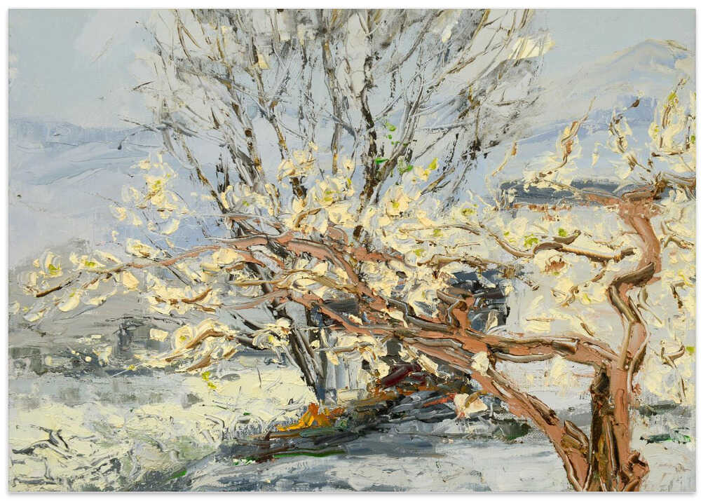 Pear Tree Flower Landscape