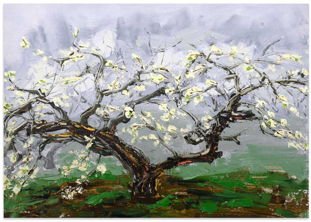 Blossoming Tree With Delicate White Flowers