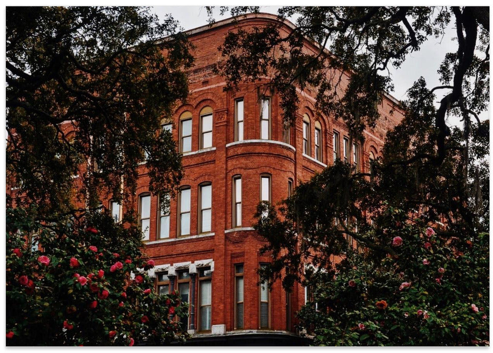 Postcard From Savannah