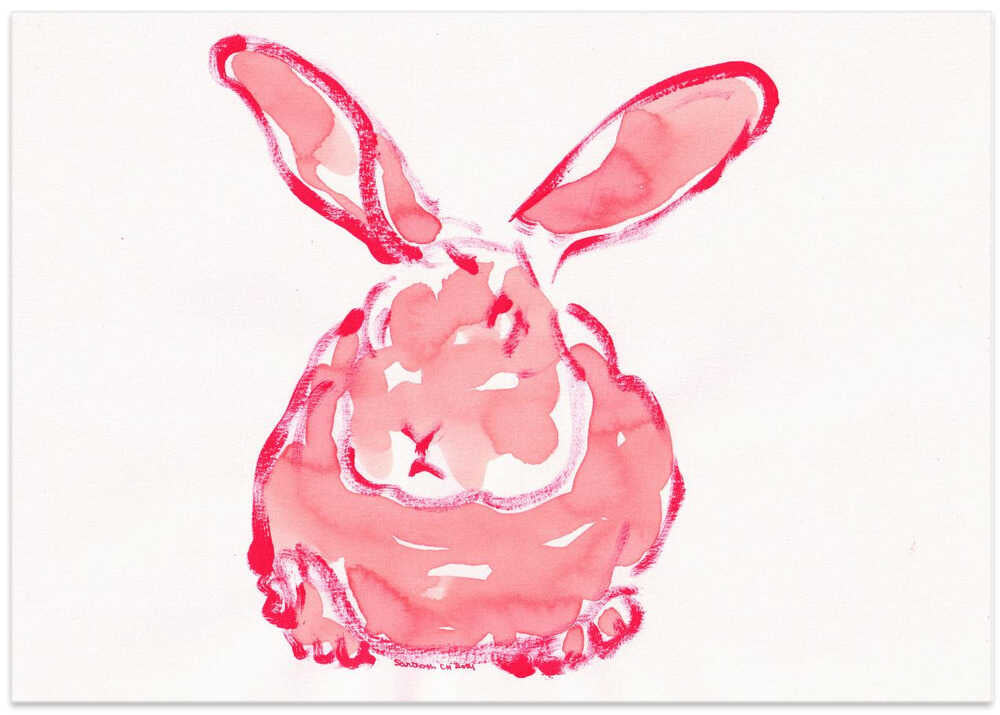 Pink Bunny Echoes