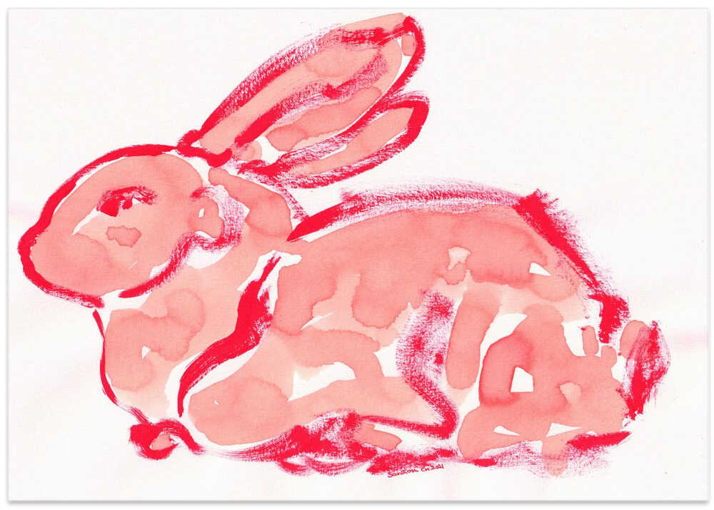 Blush Rabbit Sketch