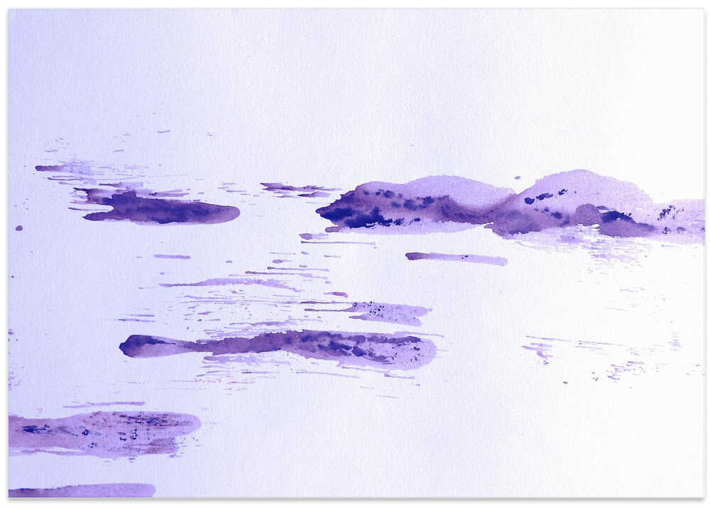 Lavender Reflections