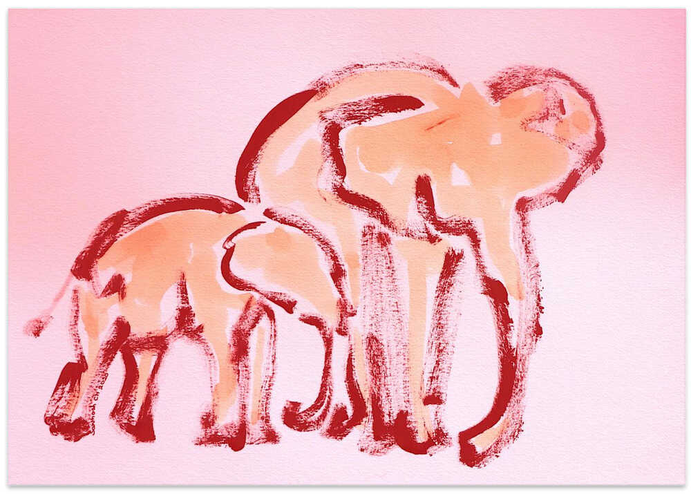 Pinky Elephant Duo