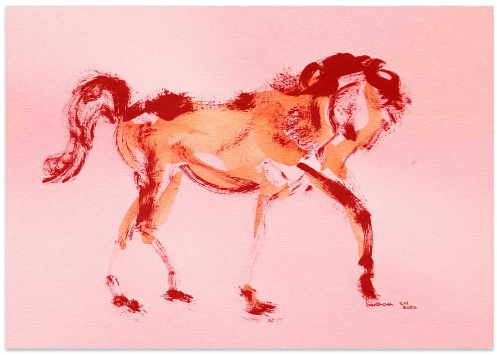 Crimson Equine Dance