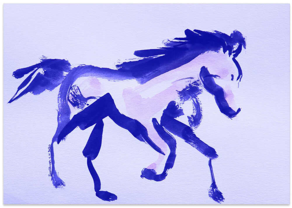 Violet Stallion