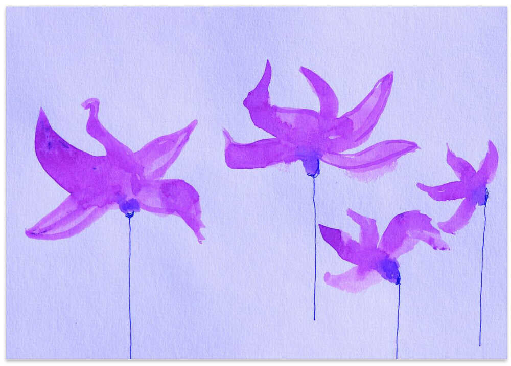 Purple Petal Dance