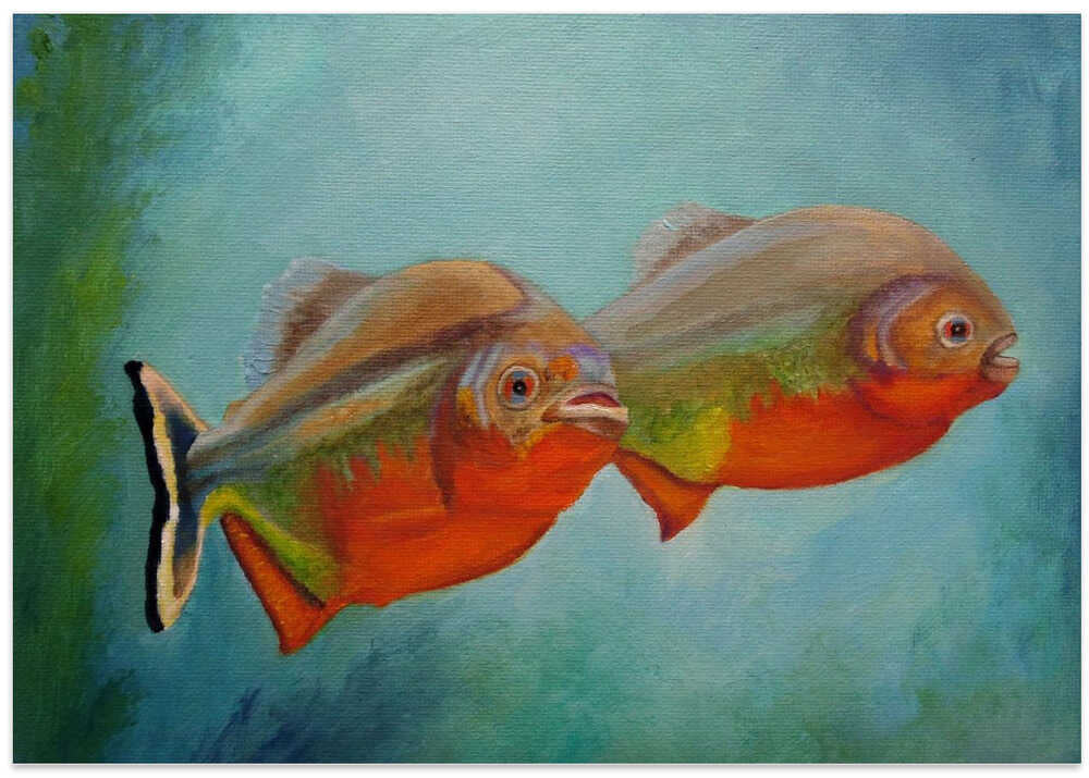 Red Bellied Fish.png