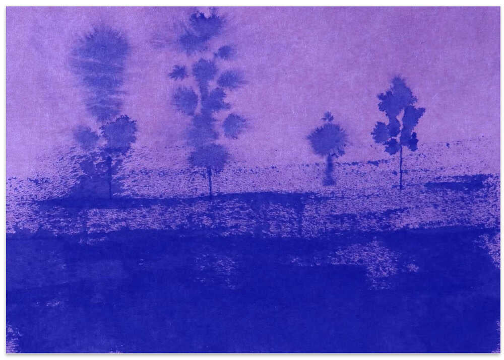 Twilight Silhouettes