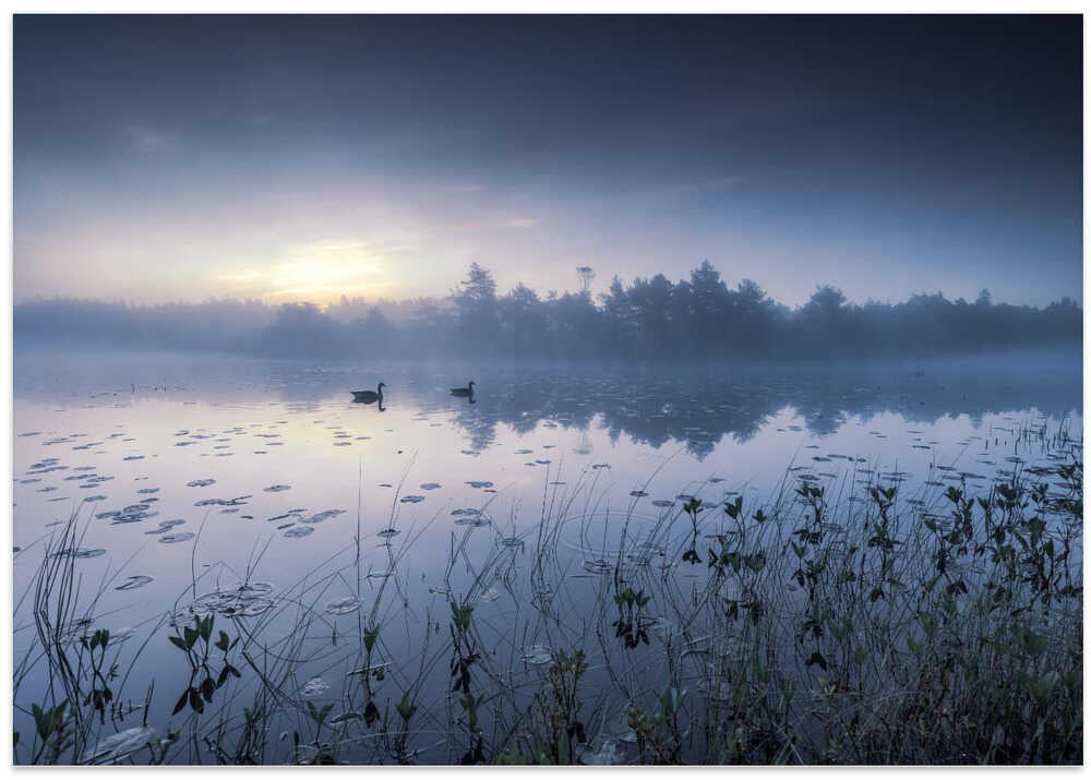 When the light comes