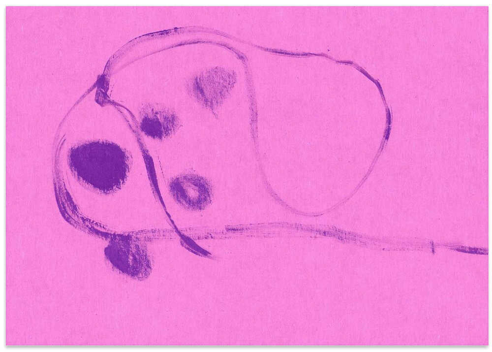 Soft Purple Whispers