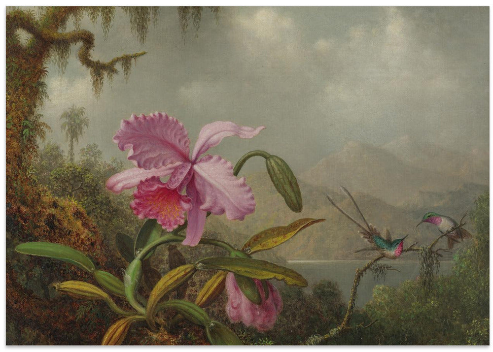 Martin Johnson Heade Orchids and Hummingbirds