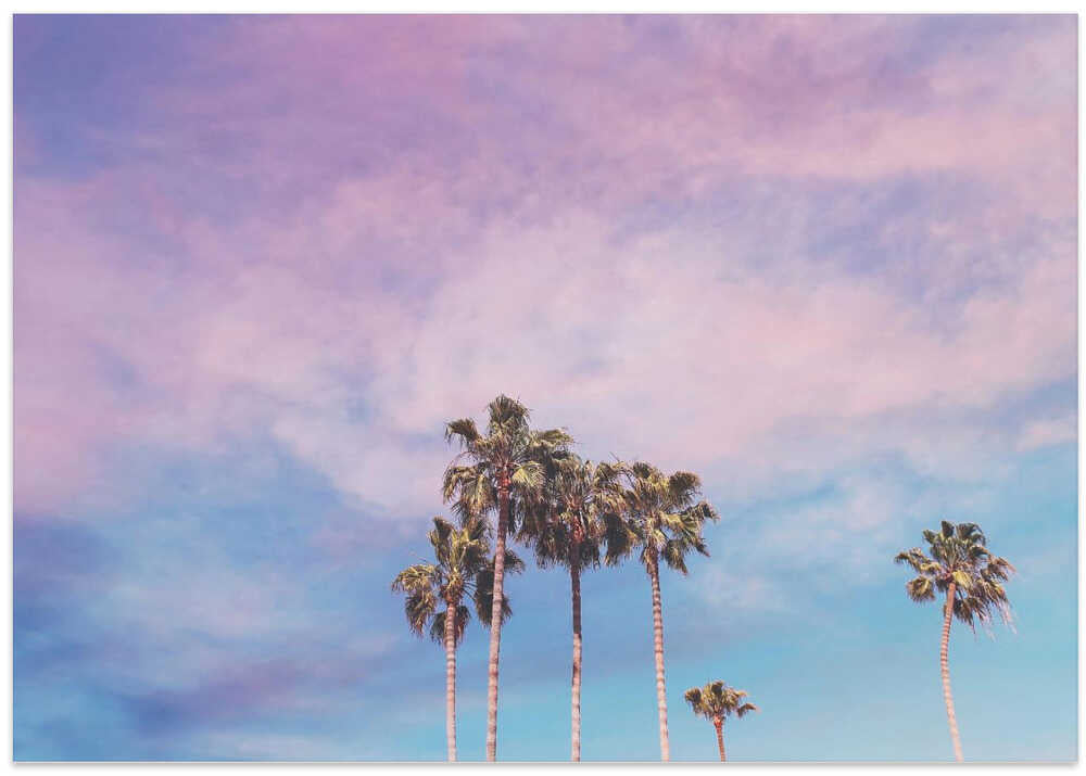 Pastel Palm Trees