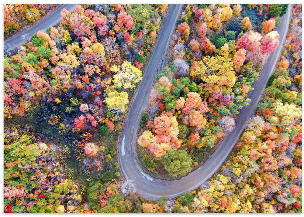 Winding Fall Road from Above