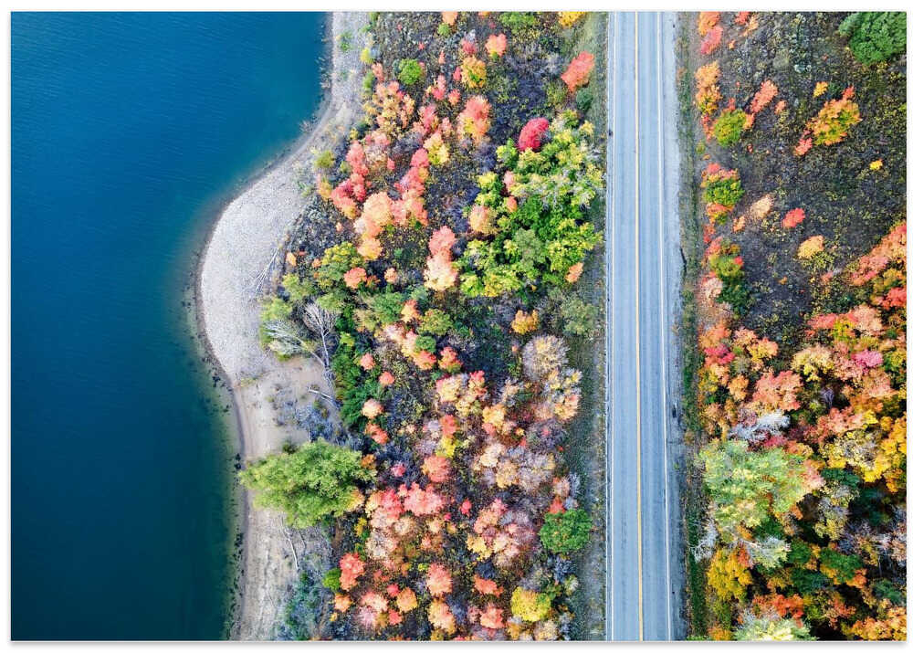 Aerial Fall Road