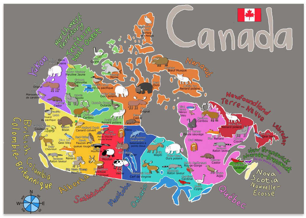 Illustrated Map of Canada with Animals by Carla Daly