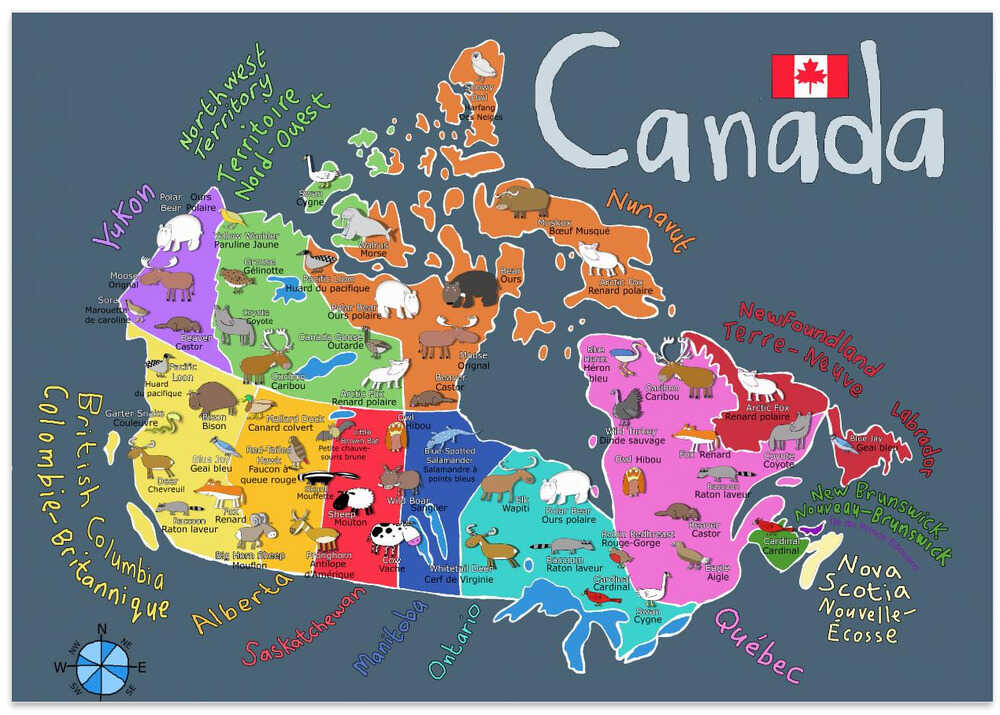 Illustrated Map of Canada with Animals by Carla Daly