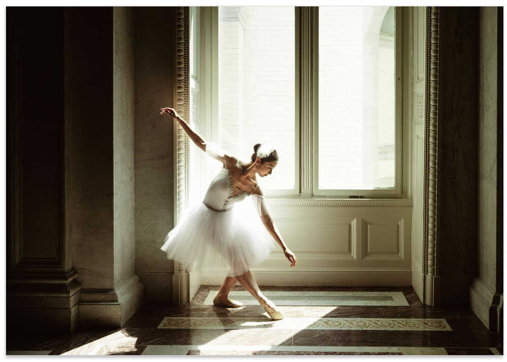 Where Light Meets Motion