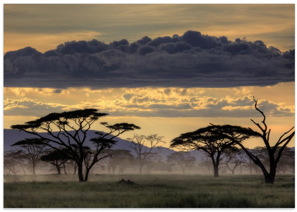 Good evening tanazania